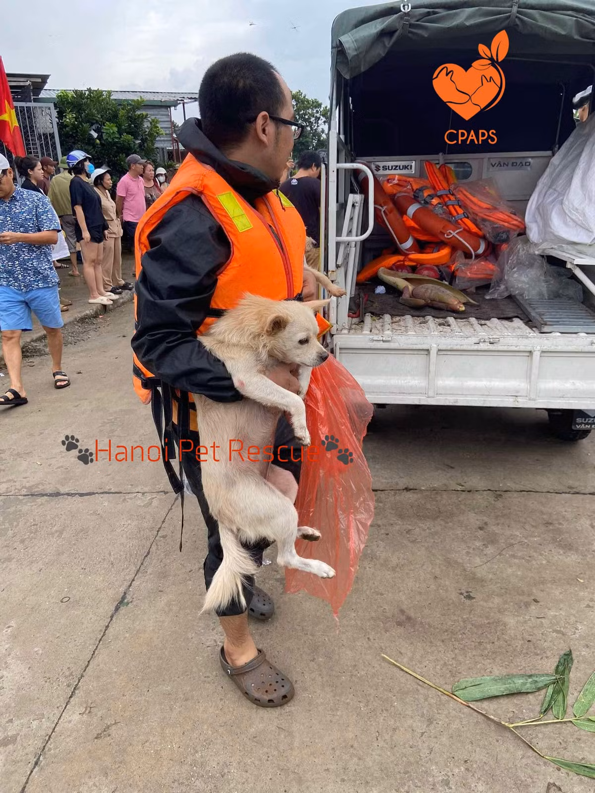 Trạm cho biết sẽ cố gắng hỗ trợ những em chó trong trạng thái cô lập này, chứ không thể đảm bảo sẽ đưa được tất cả các bé lên thuyền.