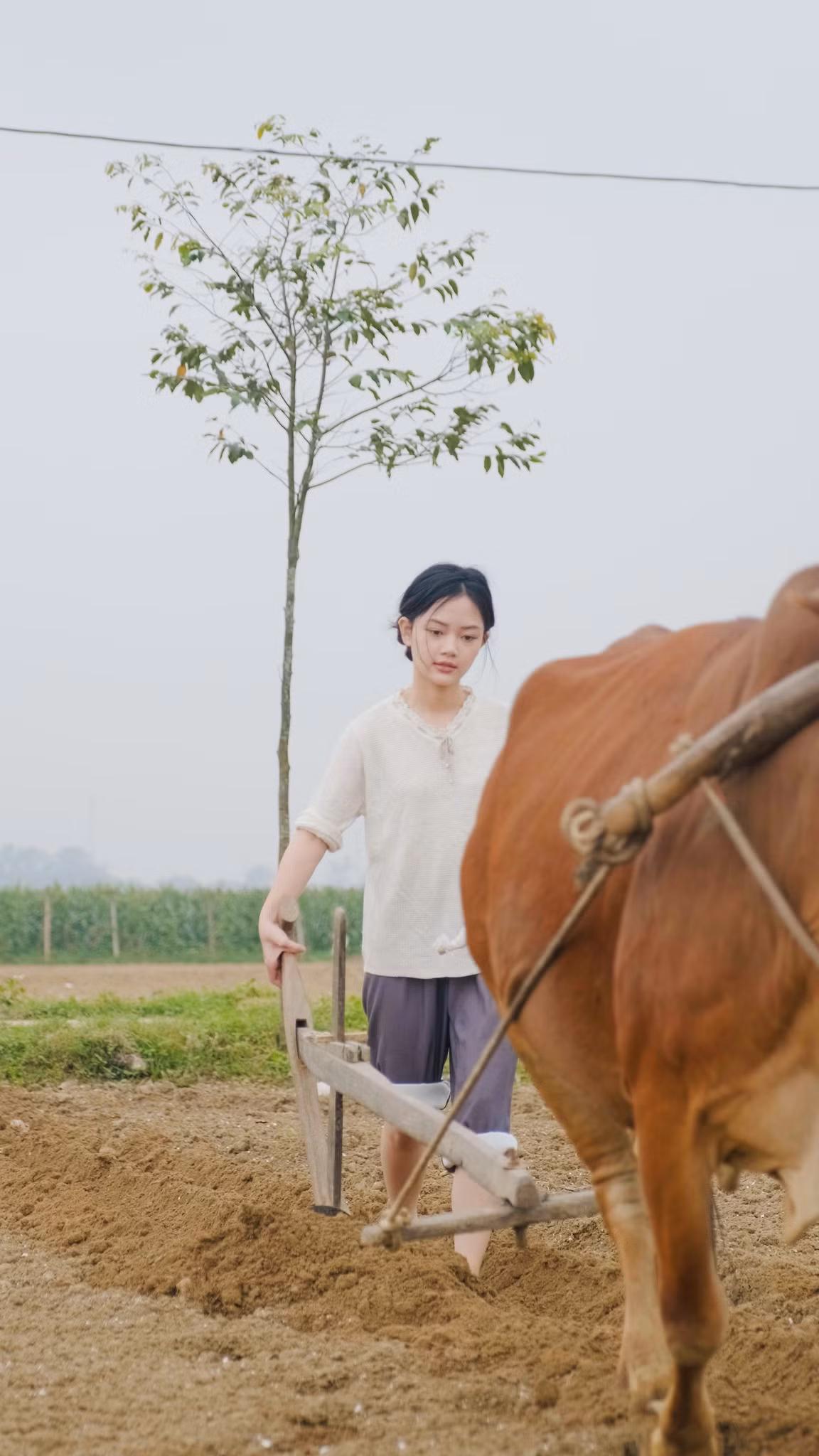 Gần đây, trên các diễn đàn mạng xã hội rôm rả chia sẻ video nấu các món ăn truyền thống của một hot girl thôn quê 10X tại Nghệ An.