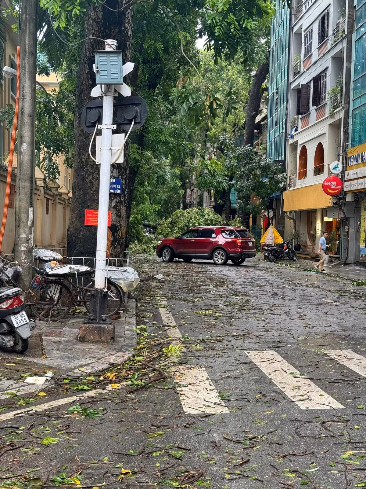 Khu phố Lý Nam Đế cũng có nhiều cây cổ thụ đổ chắn lối đi.