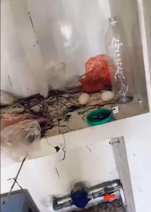 Mới đây, netizen lại ngán ngẩm trước đoạn clip chia sẻ về phòng trọ bẩn mà khách để lại cho chủ nhà. Đi kèm, người chủ chia sẻ thêm: "Trước giờ chỉ chứng kiến trên mạg, giờ mới thấy trực tiếp: thanh niên thuê ở mới 5 tháng".
