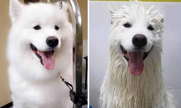 Tạo kiểu thế này cũng chất đấy.