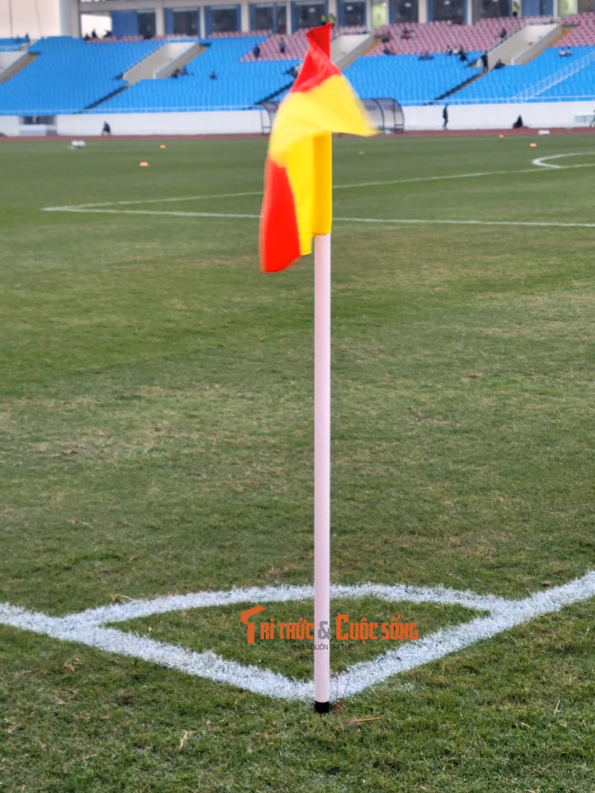 Tuyen Viet Nam danh roi tran hoa dang tiec truoc Iraq-Hinh-13