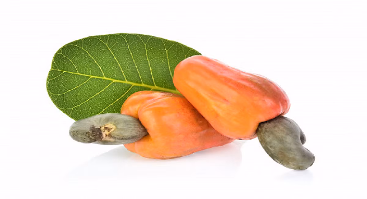 6 sieu thuc pham mua he giup giai nhiet, chong kho tieu-Hinh-5