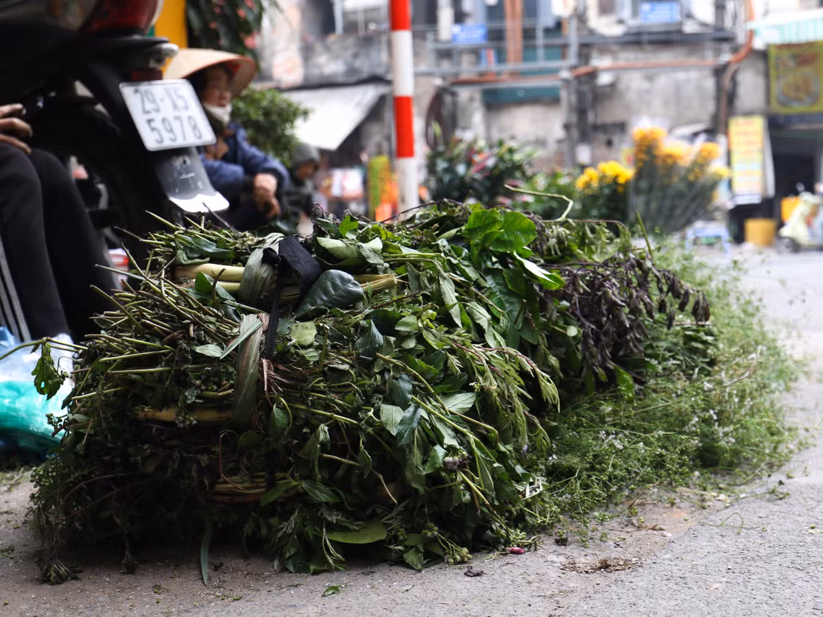 Nhiều nơi còn bán lá mùi cùng các loại lá xông khác. Các loại lá xông đều có vị cay, tính ấm, có tác dụng lưu thông khí huyết, giải tỏa căng thẳng thần kinh phục hồi sức khỏe.