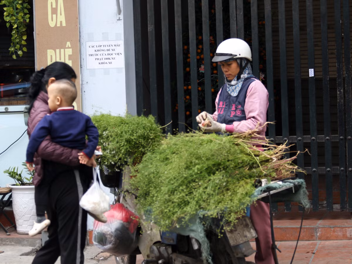 Những ngày cuối năm có thể bắt gặp những xe bán mùi già ở nhiều góc phố hay tại các chợ.