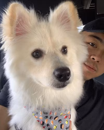 Tuy nhiên, ở diễn biến mới nhất, Hoàng Việt đã mở công khai trang cá nhân của mình trên Instagram.