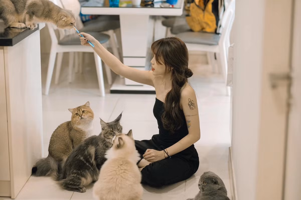 Đây không phải lần đầu tiên Linh Ngọc Đàm thể hiện mình là "người chơi hệ nhiều tiền", trước đó cô nàng có màn chuyển khoản 100 triệu đồng để mua một chú mèo yêu thích chỉ sau nửa tiếng than trời "thóc đâu mà rước em về".