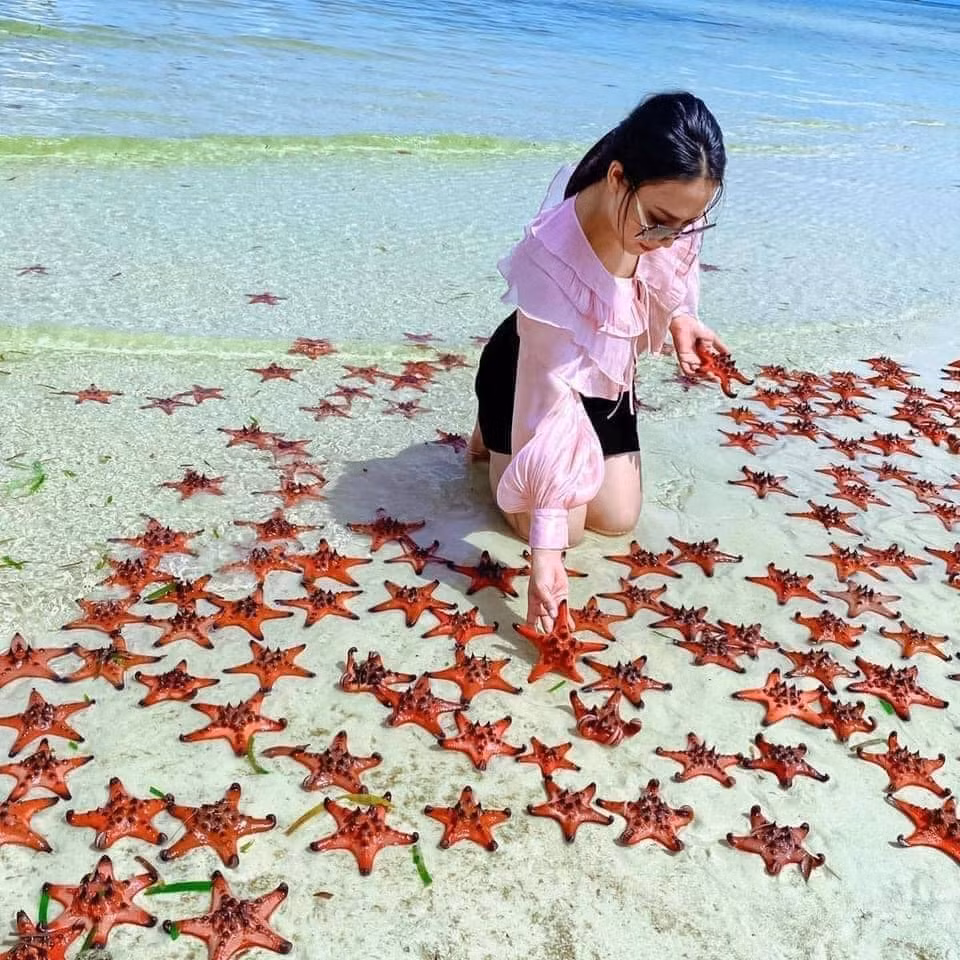 Sau khi hiện tượng sao biển Phú Quốc bị chết do khách du lịch lôi lên bờ chụp ảnh, trên mạng xã hội đa phần các dân mạng đều lên tiếng chỉ trích hành động trên và cho rằng nó chỉ vì 1 bức ảnh đẹp mà gây ảnh hưởng nặng nề tới hệ sinh thái.
