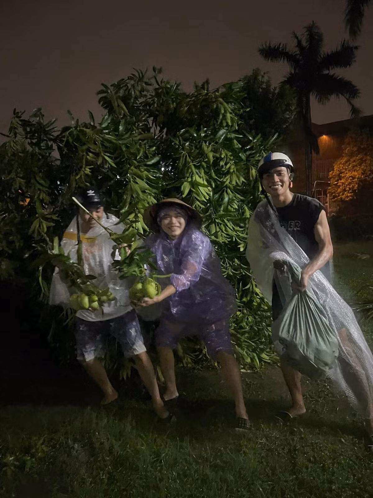 Bao Yagi quet qua, nguoi dan khoe chien loi pham... xoai rung
