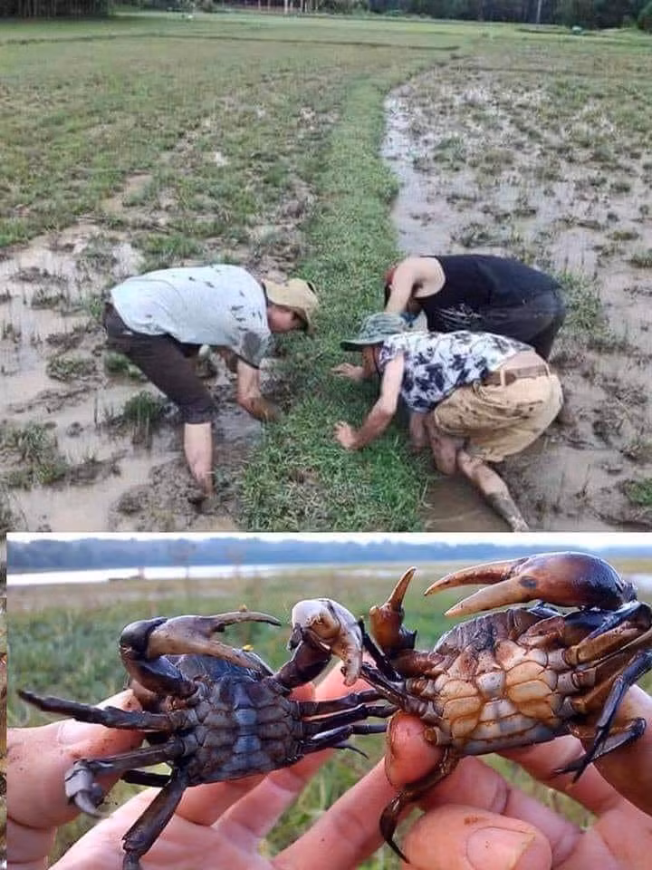 Mùa hè của thế hệ 9X là khoảng thời gian sôi động nhất trong năm của lũ trẻ. Hồi ấy, bọn trẻ chẳng bị áp lực học thêm kinh khủng như bây giờ, và gần như suốt 3 tháng nghỉ hè, công việc chính của đám trẻ là tận hưởng những niềm vui.