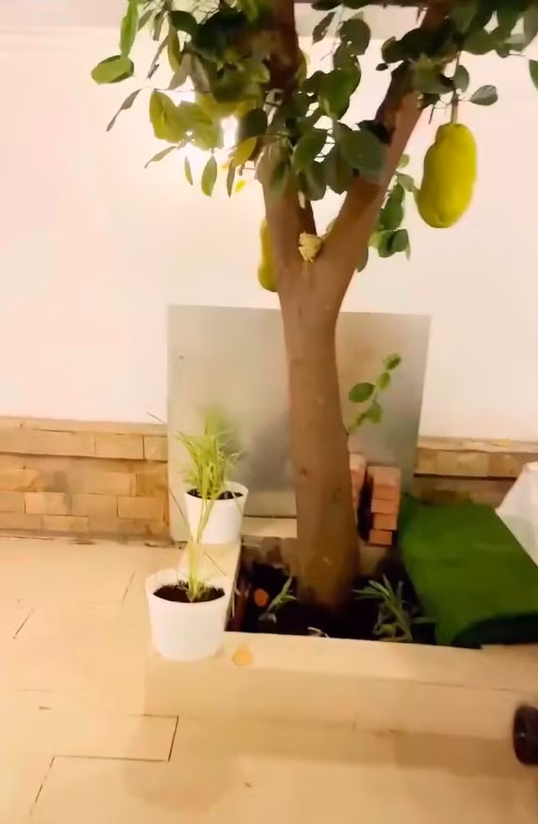 Ngoài nội thất sang trọng, căn biệt thự của "nữ đại gia quận 7" còn gây ấn tượng với lối thiết kế kiểu nhà vườn.