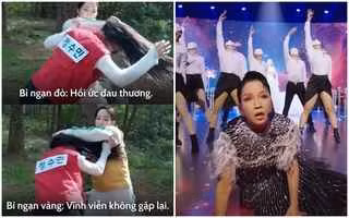 Kiều Minh Tuấn hay Ngọc Phước dùng hình ảnh hài hước của chính mình để thể hiện ý nghĩa của từng loại hoa bỉ ngạn. Duy Khánh, Võ Tấn Phát lại nước mắt ngắn dài, giả vờ xúc động khi nghe về mỗi loại hoa. Mỗi clip đều nhận được hàng trăm nghìn đến cả triệu lượt xem.