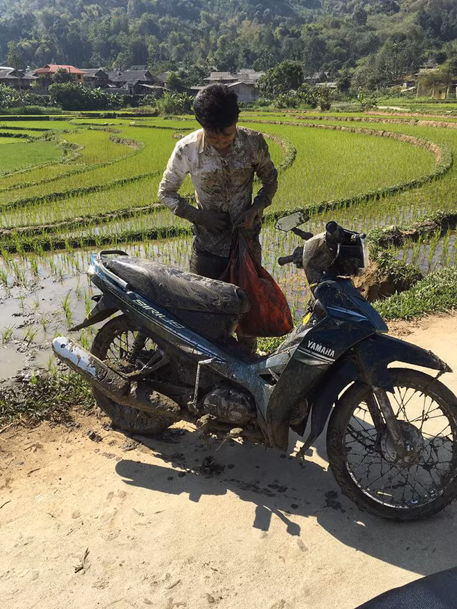 Chẳng hiểu vì lý do gì mà chàng thanh niên này lại chọn điểm đến của mình đó là ruộng lúa.