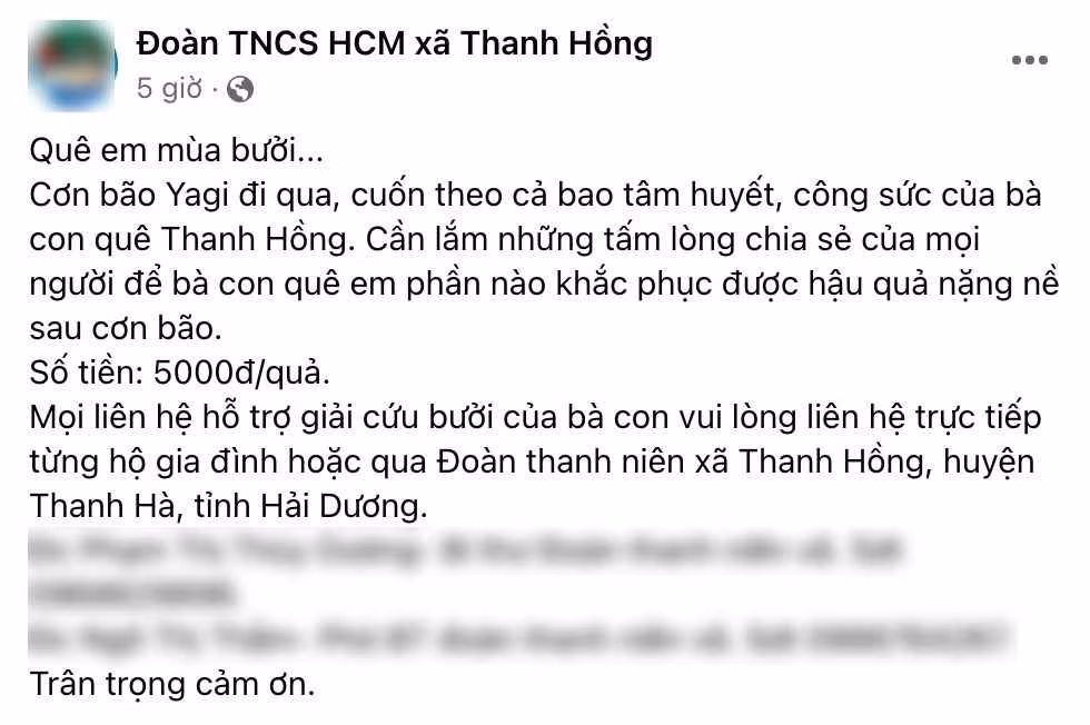 Người dân và các bạn trẻ nơi đây đã cùng nhau đăng tải lên MXH để nhờ dân tình cùng chung tay giúp đỡ giải cứu. Mức giá của mỗi quả bưởi chỉ khoảng 5k - 8k.