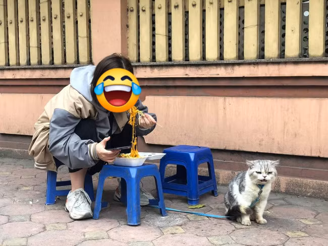 Trước đây, cũng có một chú mèo dỗi chủ của mình vì bị bỏ rơi khi đi ăn cùng.