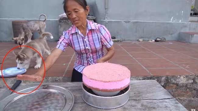 Hình ảnh dùng tay không chế biến món ăn của bà Tân Vlog từng khiến nhiều người phải bức xúc.