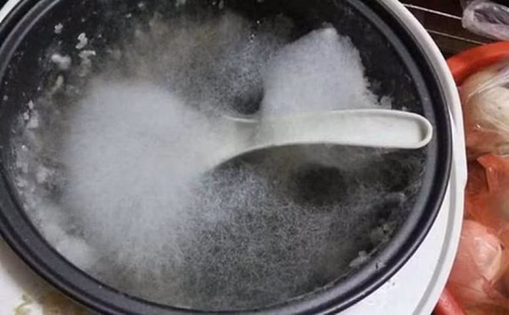 Điều đáng nói, chiếc nồi bị đóng kín nên đầu con chuột thì chui ló ra qua lỗ thoát hơi nước, còn thân hình vẫn nằm vắt vẻo bên trong.