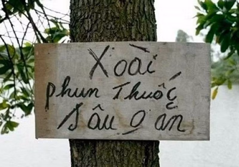 Trước đó, dân tình từng chứng kiến không ít những màn bảo vệ cây ăn quả cực bá đạo. Điển hình như việc dùng thuốc sâu để mong chờ kẻ trộm buông tha".