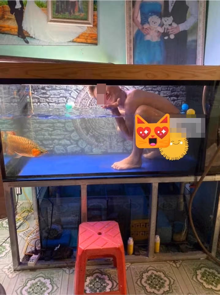 "Nhìn như aquaman. Tôi cười sặc mất thôi, không biết mấy con cá có tự hỏi ông này bị gì không", "Giống kiểu mấy bạn nam hay chụp ảnh nghệ thuật dưới nước, nhưng đây là 1 phiên bản đã có vợ" hay "Giống cảnh tiên cá trong trọn đời bên em. Đúng là một cảnh giới mới của dân chơi cá mà" là những bình luận của dân mạng.