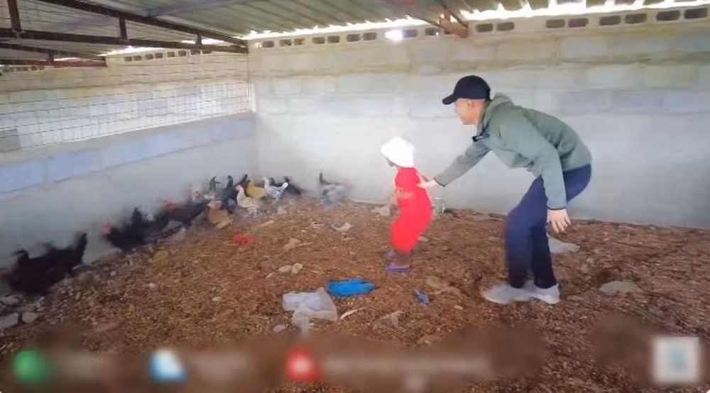 Theo chân Quang Linh, không thể thiếu Lôi Con. Cậu nhóc này ngày ngày vẫn chạy sang hóng mọi người làm vườn, bắt cá, nuôi dê... thông thuộc đường đi ở trang trại, nên mọi người trêu cậu nhóc ra dáng "con nuôi chủ tịch" giám sát anh em.