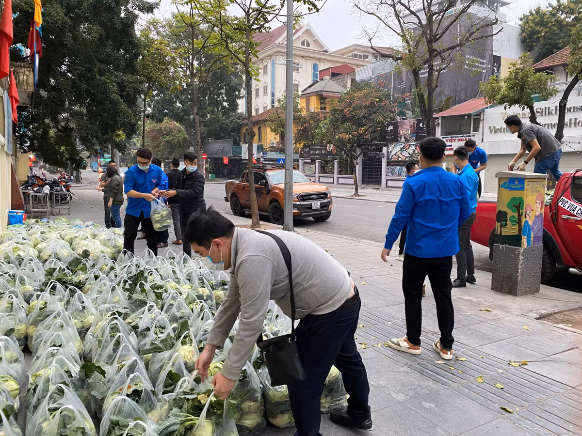Từng túi nông sản được các đoàn viên trực thuộc Thành đoàn Hà Nội cẩn thận chuyển đến điểm tập kết.