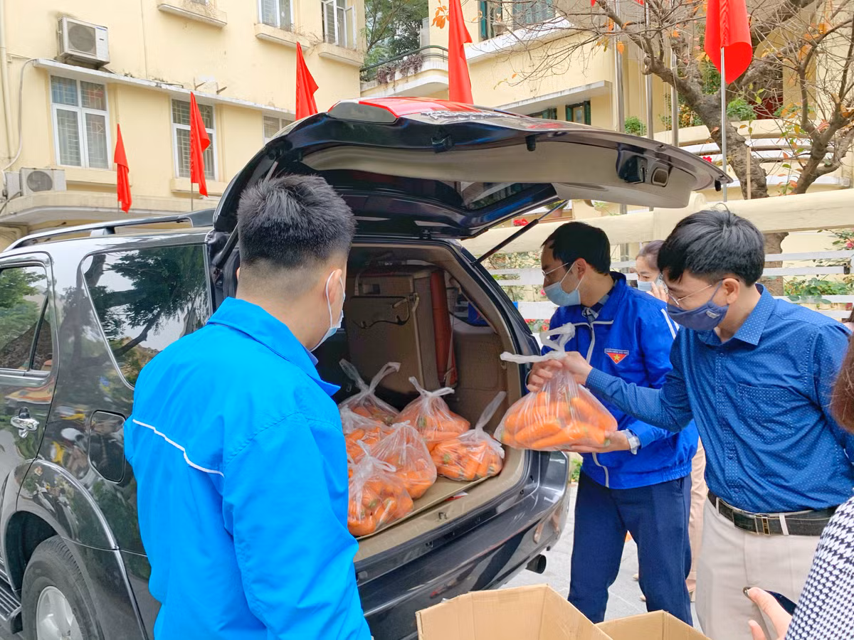 Trong đó, điểm tiêu thụ nông sản tại trụ sở cơ quan Thành đoàn Hà Nội do Đoàn Thanh niên Cơ quan Thành đoàn Hà Nội phụ trách triển khai, Chi đoàn Văn phòng Thành đoàn xung kích đảm nhiệm; dự kiến hỗ trợ người nông dân tỉnh Hải Dương tiêu thụ 8,5 tấn ổi Thanh Hà, 1.650 cái bắp cải, 6.000 củ su hào, 1.000 củ cà rốt.