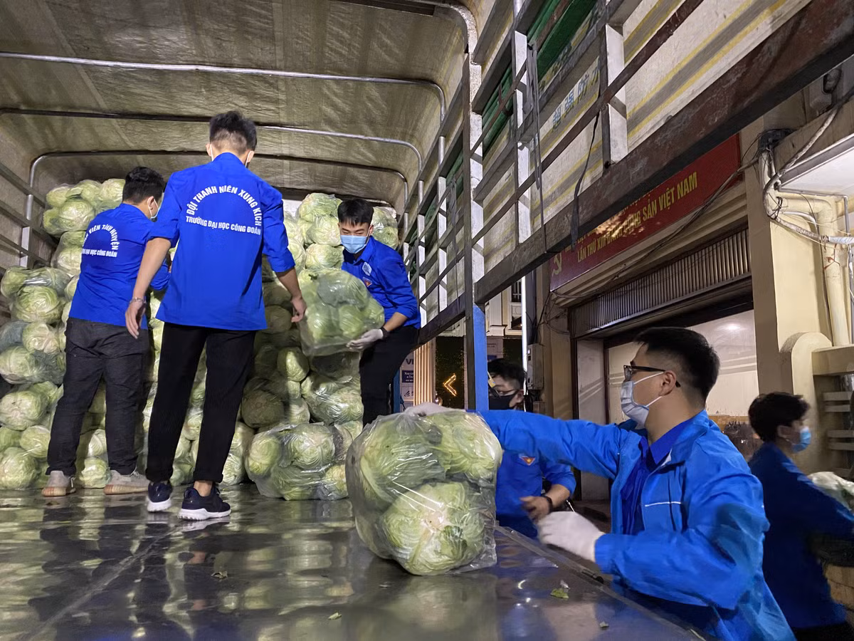 Tối muộn ngày 23/2, 10 tấn ổi Thanh Hà, 13.000 củ su hào, 5 tấn cà rốt và 7 tấn bắp cải cập bến trụ sở cơ quan Thành đoàn Hà Nội. Đây là số nông sản được tuổi trẻ Thủ đô thu mua thông qua hỗ trợ của Tỉnh đoàn Hải Dương, sẵn sàng ra quân chung tay cùng người nông dân Hải Dương tiêu thụ nông sản.
