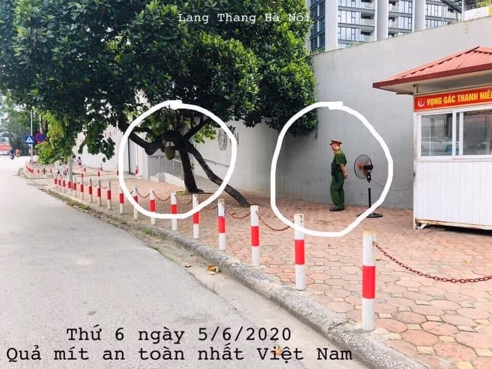 Cụ thể, trên fanpage quy tụ số đông dân mạng có bài viết với nội dung: "Tin buồn, năm nay cây mít an toàn nhất Việt Nam không ra quả nào..."