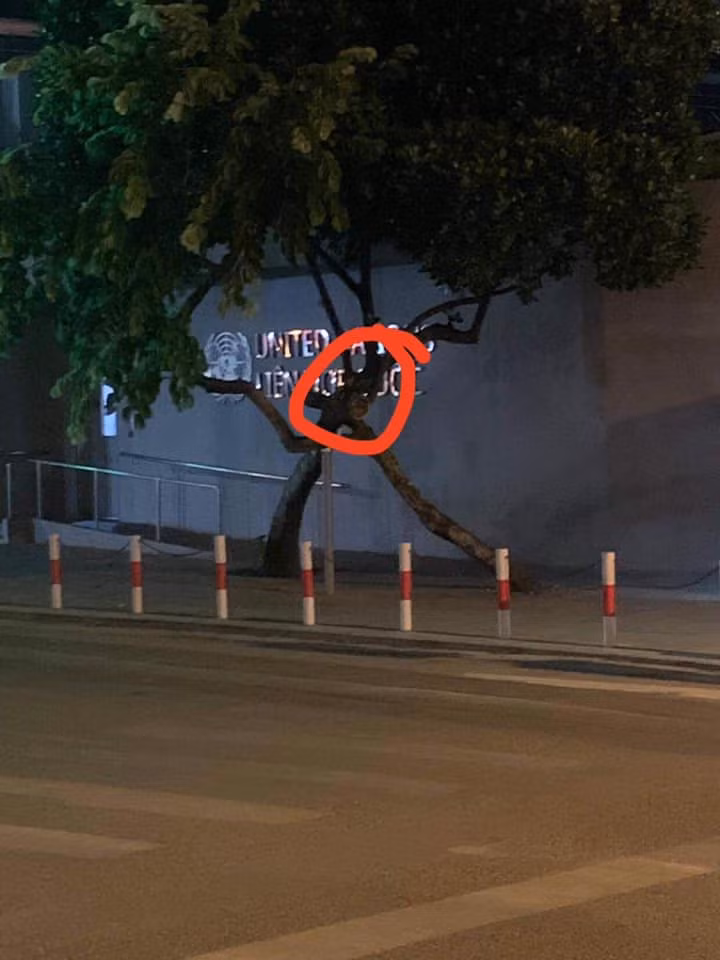 Trong khi đó, một số dân mạng lại cho rằng việc cây mít không ra quả có thể do thời tiết..