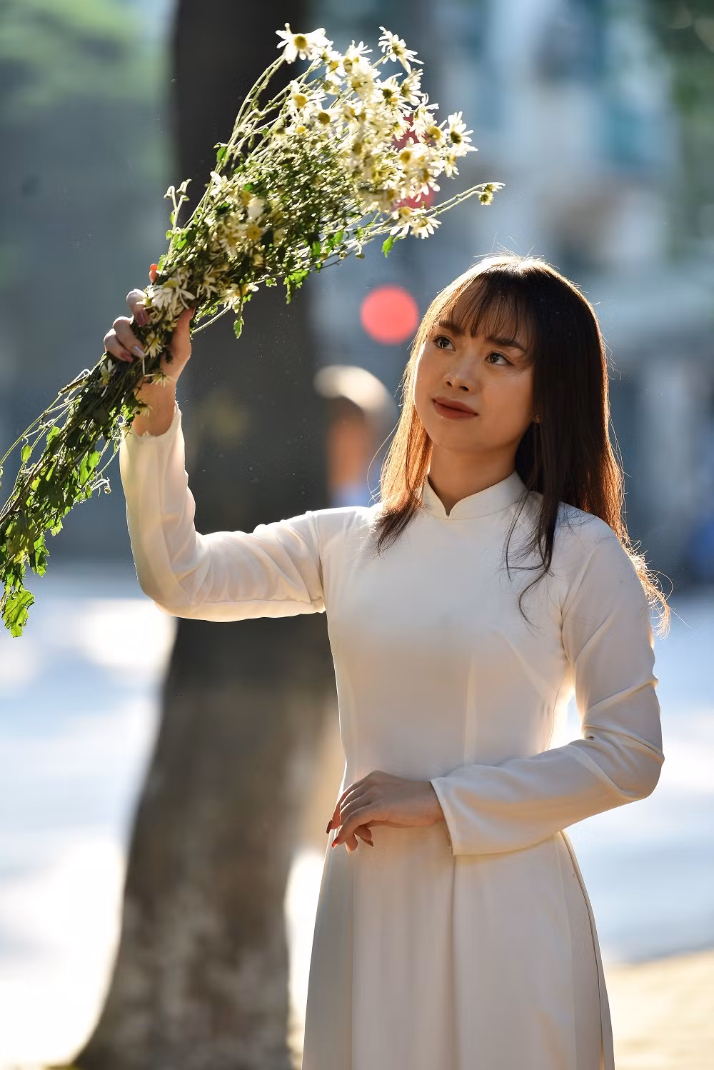Thiếu nữ Hà thành diện chiếc áo dài trăng, e ấp bên đóa cúc họa mi trong ánh nắng le lói chiều đầu đông cũng đủ làm lòng người say mềm.