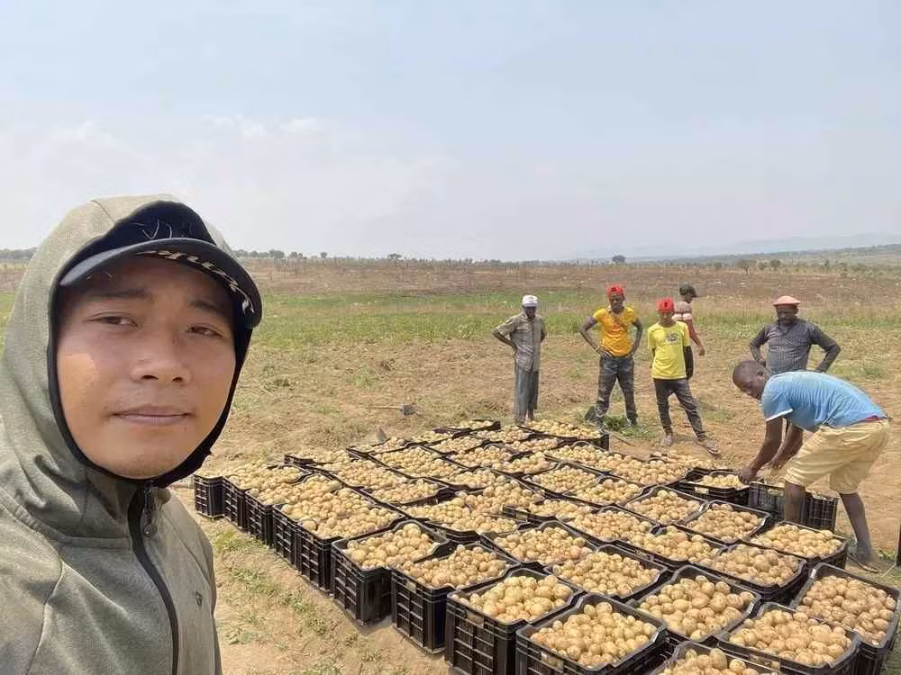 Lindo là một trong những "cánh tay" đắc lực của Quang Linh Vlog trong việc gieo trồng, chăn nuôi và xây dựng các công trình xã hội tại Angola