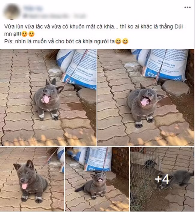 Chứng kiến những hình ảnh mới nhất của Dúi, nhiều fan để lại bình luận: "Idol giờ đã khác, quả mặt quá giang hồ" hay "Ngôi sao của làng truyền thông đây rồi".
