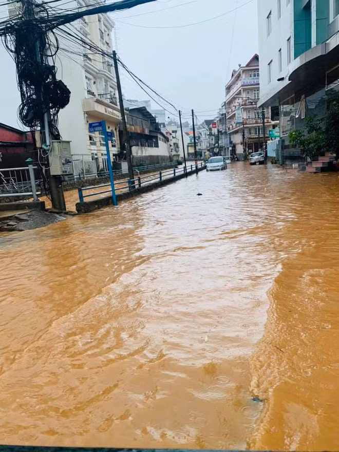 Một số lại cho biết nếu muốn đi Đà Lạt vào thời điểm này, du khách cần chuẩn bị ô, áo mưa và chuẩn bị tinh thần “làm bạn” với những cơn mưa mỗi ngày.