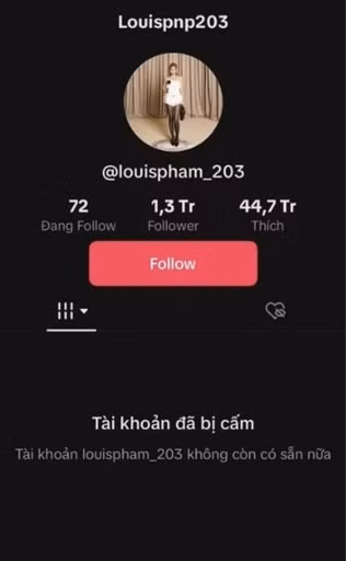 Về nội dung, loạt video của cô nàng vẫn còn nguyên, không có sự thay đổi gì. Tuy nhiên điều khiến nhiều người chú ý hơn là lượng theo dõi của Phạm Như Phương.