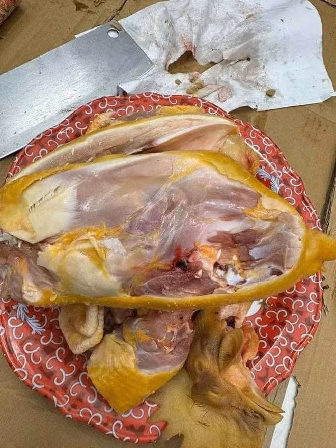 Theo đó, cô gái mua gà về cúng, thế nhưng sau khi cúng xong, chặt gà ra, cô gái mới phát hiện gà còn sống đến 98%.