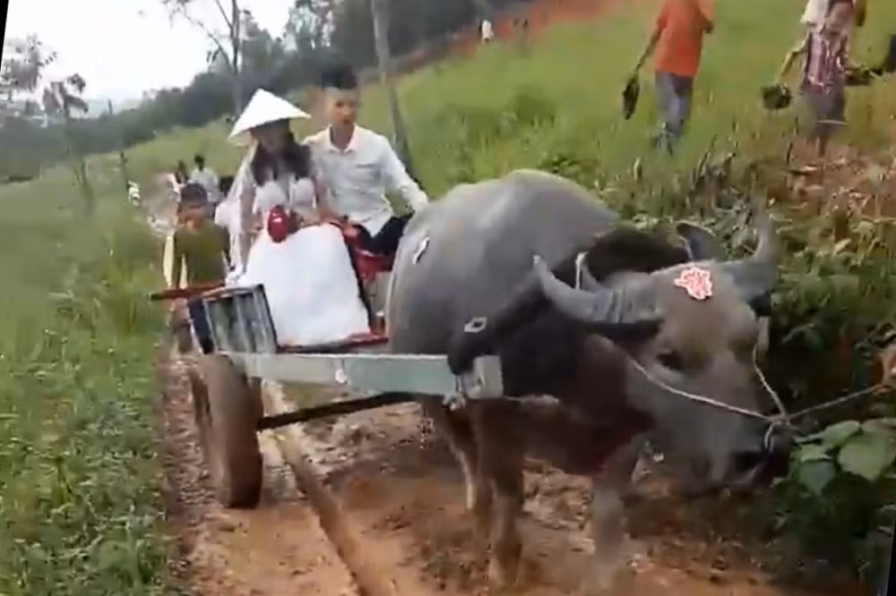 Mỗi lần xuất hiện, những chiếc xe đón dâu bá đạo này đều trở thành tâm điểm bình luận của dân mạng.