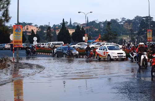 "Còn đâu nữa Đà Lạt mông mơ của tui", "Nhìn mà tội Đà Lạt quá, hết ngập rác rồi lại ngập nước. Con người và thiên nhiên hết yêu vùng đất này rùi" hay "Nhìn Đà Lạt thế này mà xót xa quá"... là những bình luận mà dân mạng để lại.