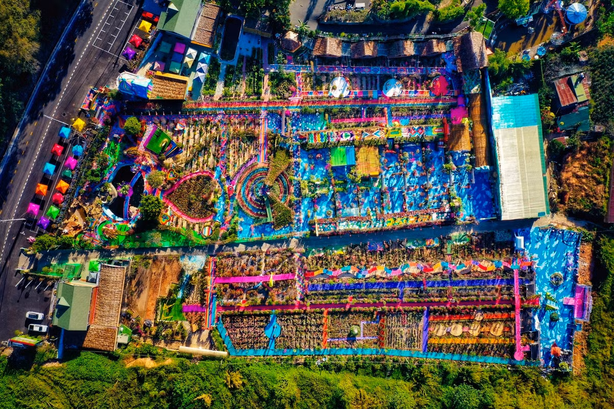 Vườn Thượng Uyển Bay là khu du lịch Đà Lạt. Nơi đây có diện tích gần 2 ha, trồng khoảng 50.000 gốc hoa giấy bảy màu, 2 con công chính từ 5.000 chậu hoa, ngoài ra là gần 10.000 cây hoa hồng.