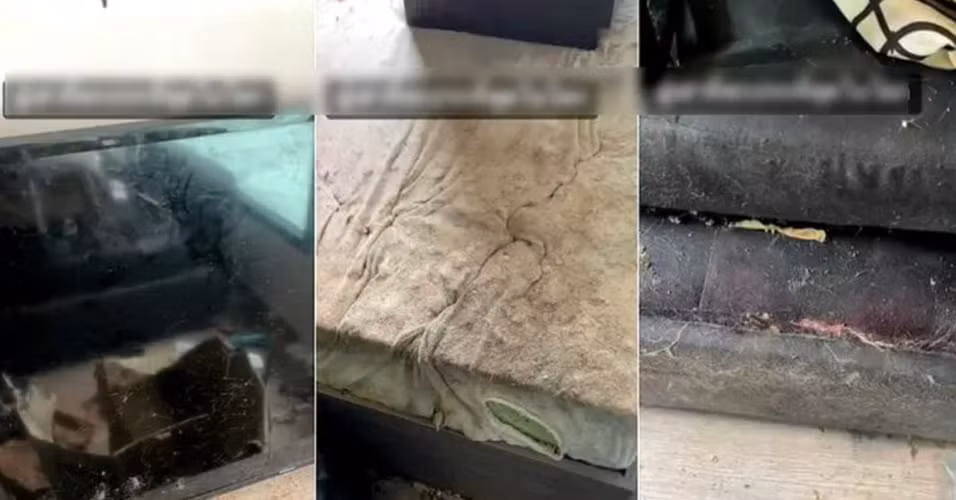 Một chiếc sofa trong căn phòng trọ mốc không nhận ra màu gốc.