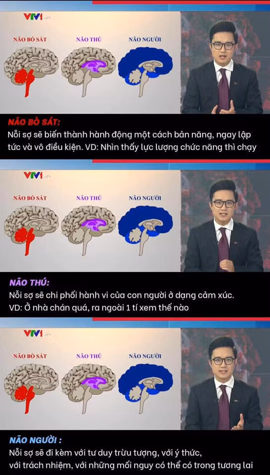Phan tich truong hop vi pham gian cach, VTV khien netizen buc xuc