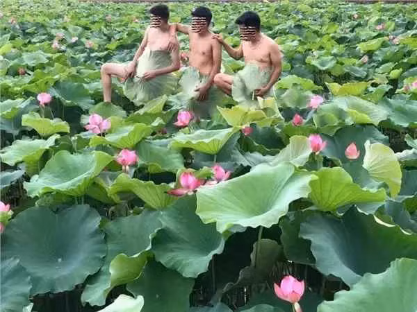 Trong ảnh, họ hoàn toàn không mặc gì, chỉ dùng lá sen che chắn phần dưới. Điều này khiến nhiều người phản ứng gay gắt vì không hợp với thuần phong mỹ tục.