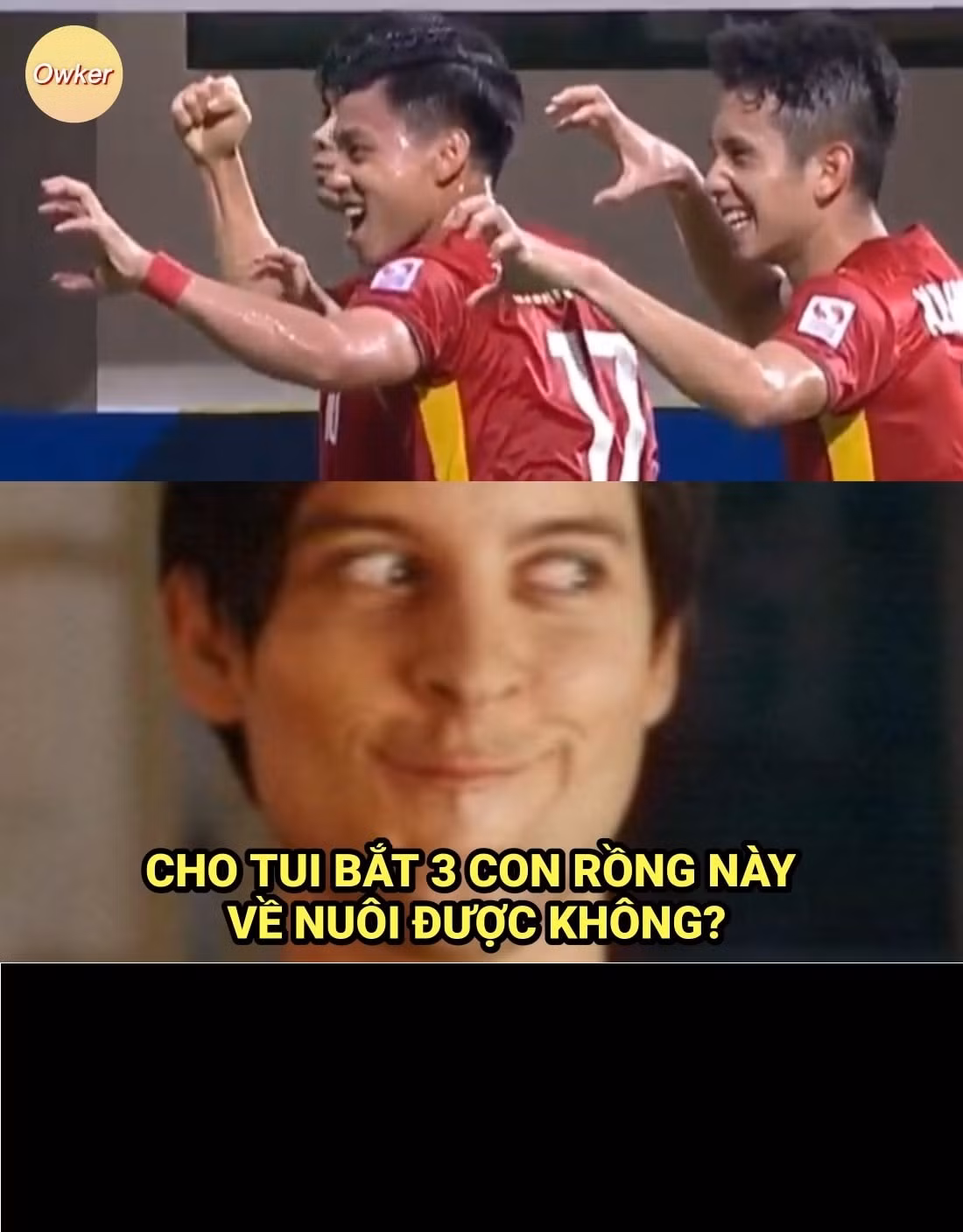 3 chú rồng của đội tuyển Việt Nam sau trận đấu được các netizen xin về nuôi. Nhưng đáng tiếc họ còn bận bảo vệ chức vô địch AFF Cup 2020.