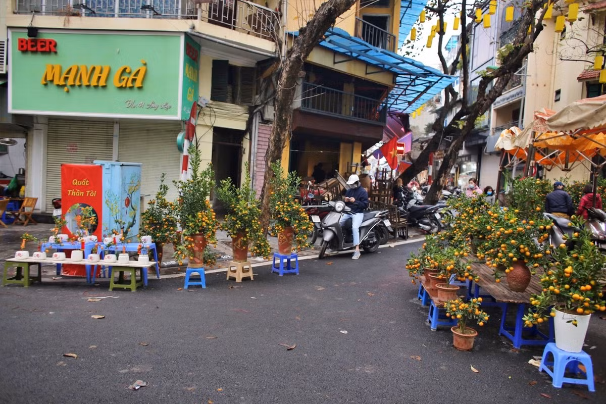 Một góc chợ hoa Tết cổ truyền ở phố Hàng Lược rơi vào cảnh đìu hiu. Cây cối thì nhiều nhưng lượng khác mua tỉ lệ nghịch.
