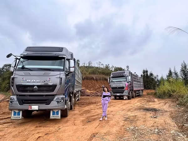 N.H. là một nữ tiktoker nổi tiếng trên mạng, được gọi với biệt danh "bóng hồng container".