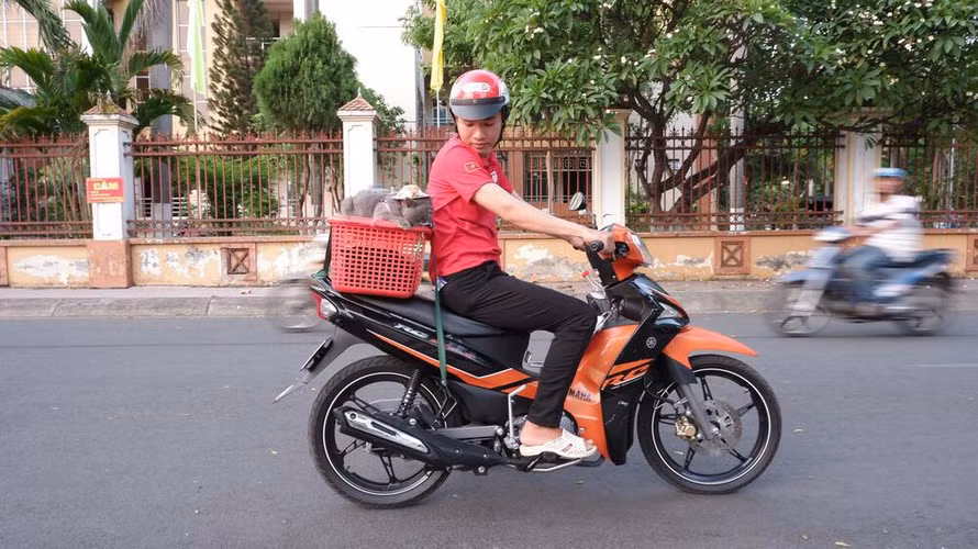 Theo đó, họ thương "boss" không thăng bằng được lại té ngã ra giữa đường thì khổ. Thậm chí, nhiều người còn cho rằng mèo có thần kinh yếu việc cho ra đường như này không tốt cho chúng.