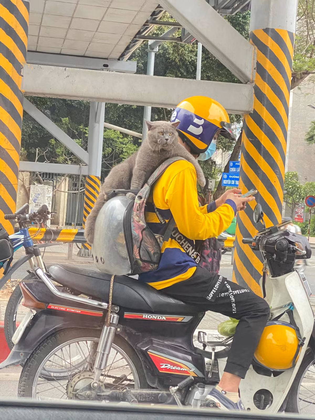 Xuất hiện trong ảnh, chàng thanh niên chạy xe ôm công nghệ ngoài những phụ kiện hành nghề quen thuộc như chiếc mũ, túi đeo chéo, smartphone để nhận khách thì trên vai anh chàng còn có con mèo cùng chiếc balo "phi hành gia" để đựng thú cưng.