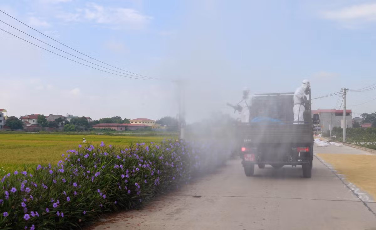Các kíp xe được phân chia theo tổ nhóm để thực hiện nhiệm vụ trên từng cụm địa bàn của từng thôn trong xã, được thực hiện theo vòng khép kín tiêu độc khử khuẩn xong xã này chuyển sang xã kế bên và cứ thế cho đến khi hoàn thành nhiệm vụ theo yêu cầu và hợp đồng của địa phương.