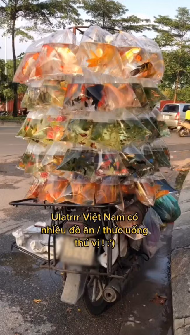 Không ít người gặp khó khăn khi đối mặt với nét văn hóa và phong cách sinh hoạt khác lạ khi mới sang một đất nước khác. Lúc này, không tránh khỏi những trường hợp "dở khóc dở cười", tình huống oái ăm xảy ra.