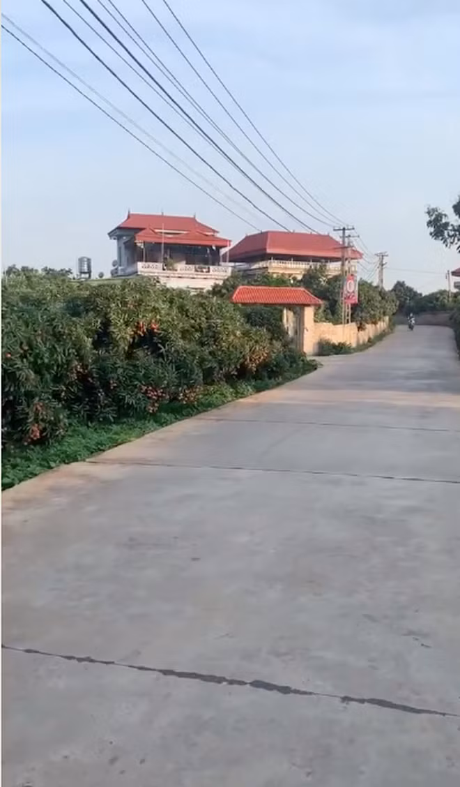  Quả vải thiều từ lâu cũng được liệt vào hàng đặc sản nức tiếng khiến người dân nơi khác phải thèm thuồng.