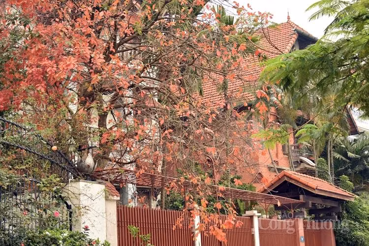 Cứ ngỡ là thu đến...